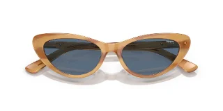 Polo Sunglasses PH4199U