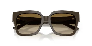 Jimmy Choo Sunglasses JC5047B