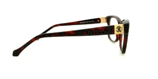 Roberto Cavalli Eyeglasses RC 0755