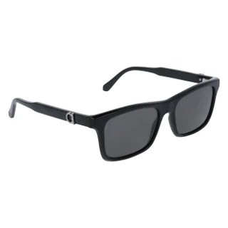 Salvatore Ferragamo Sunglasses SF2060SE