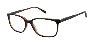 Ted Baker Eyeglasses TM003