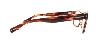 Hugo Boss Eyeglasses 0519