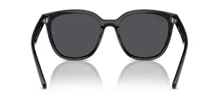 Ray Ban Sunglasses RB4423D