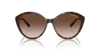 Armani Exchange Sunglasses AX4134S