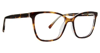 Life Is Good Eyeglasses Lg Brittnay