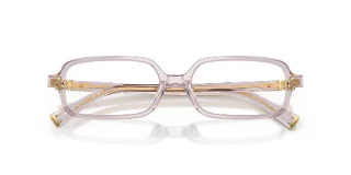 Miu Miu Eyeglasses MU01YVF