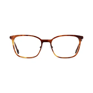 TN04 Tortoiseshell