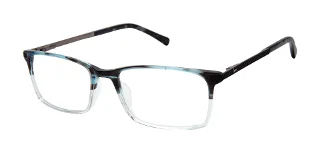 Ted Baker Eyeglasses TFM016