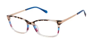 IVO Ivory Tortoise
