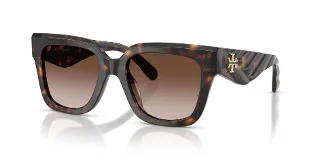 196413 Dark Tortoise