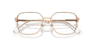Swarovski Eyeglasses SK1020D