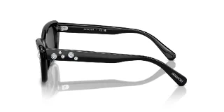 Swarovski Sunglasses SK6019