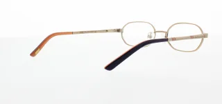 Polo Eyeglasses PP8017