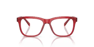 Dolce & Gabbana Eyeglasses DX3356