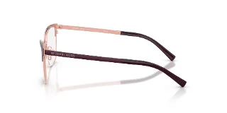Michael Kors Eyeglasses MK3012