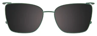 Takumi Eyeglasses TK1271