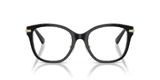 Swarovski Eyeglasses SK2044F