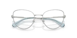 Swarovski Eyeglasses SK1022