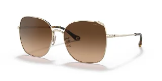 Coach Sunglasses HC7133
