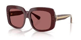Dolce & Gabbana Sunglasses DG4557
