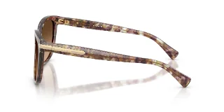 Coach Sunglasses HC8132 L109