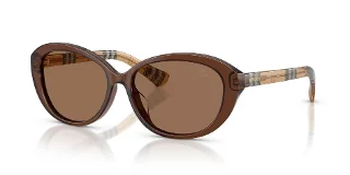 424373 Brown