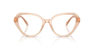 Swarovski Eyeglasses SK2054F
