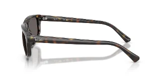 Ray Ban Sunglasses RB2225