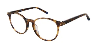 C02 Tortoise