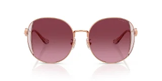 Coach Sunglasses HC7176B