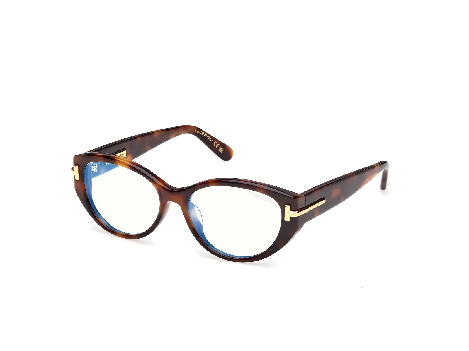 Tom Ford Icon Eyeglasses FT6031-F-B