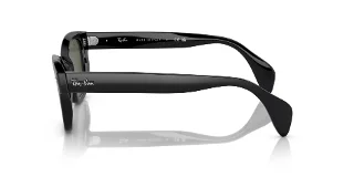 Ray Ban Sunglasses RB0880S