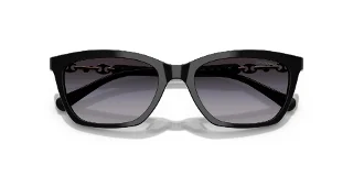 Emporio Armani Sunglasses EA4238