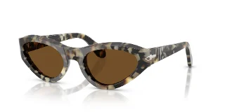 107157 Brown Tortoise