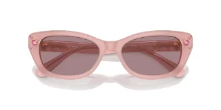 Swarovski Sunglasses SK6019F