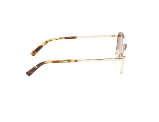 Abercrombie & Fitch Sunglasses AF00032
