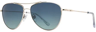 C03 Silver