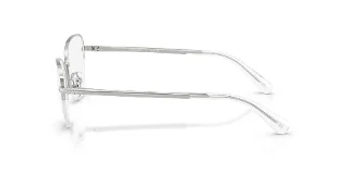 Swarovski Eyeglasses SK1023