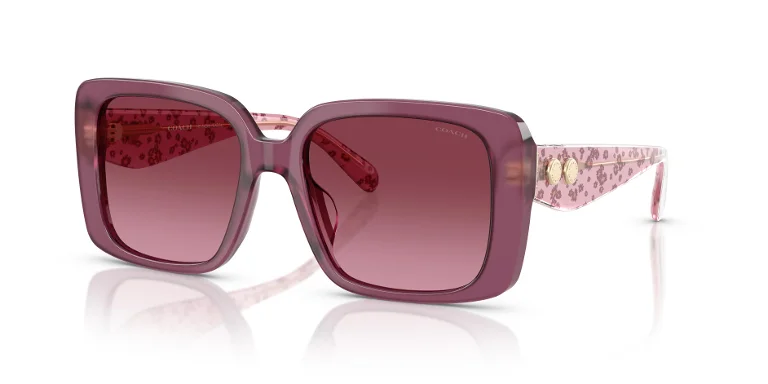 Coach Sunglasses HC8424U