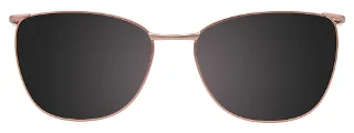 Takumi Eyeglasses TK1138