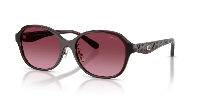 Coach Sunglasses HC8445D
