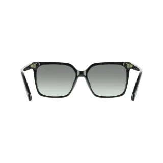 Salvatore Ferragamo Sunglasses SF2102S