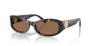 198173 Brown Tortoise