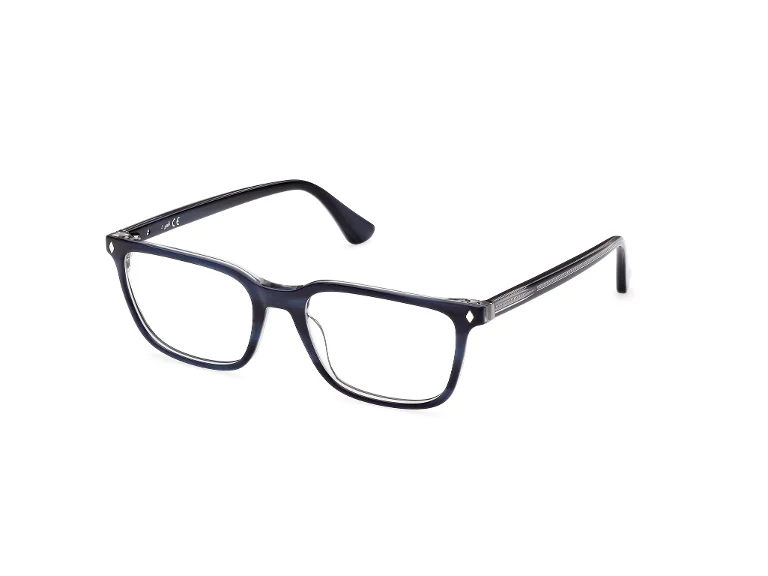 Web Eyeglasses WE5391