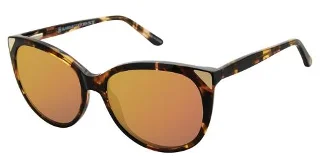 C01 Tortoise