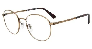 Police Eyeglasses VPLD94