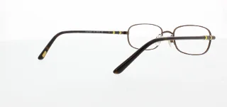 Polo Eyeglasses PP8031