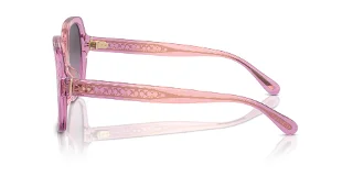 Coach Sunglasses HC8395F