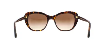 Coach Sunglasses HC8204 L1631