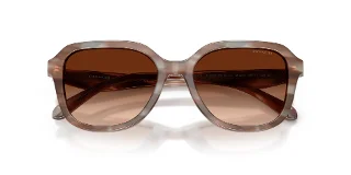 Coach Sunglasses HC8437F